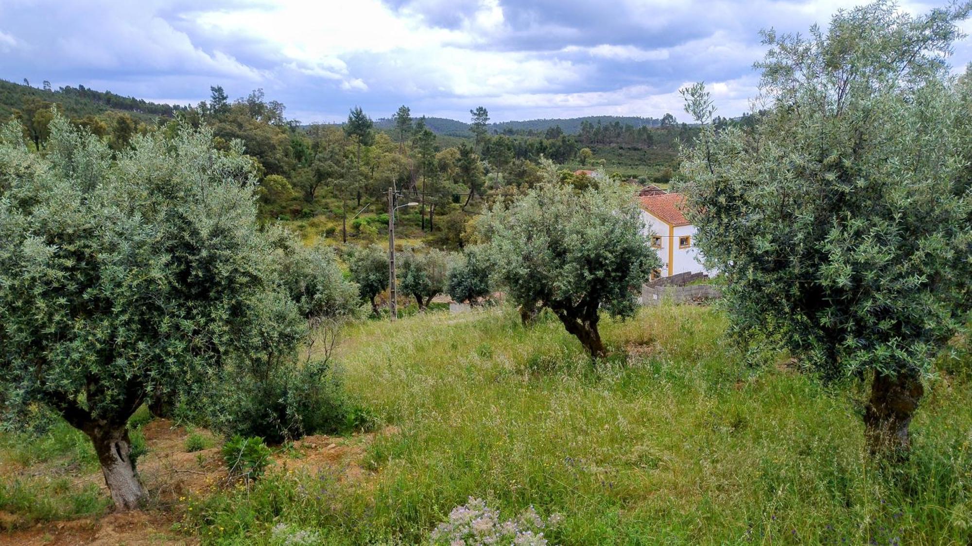 Bed and Breakfast Alegria Rustica 2 Rustic Happiness Envendos Exterior foto